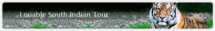 Louable South Indian Tour