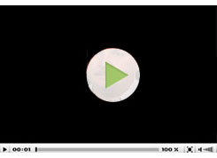 Videos from Travellors