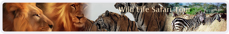 Wild Life Safari Tour